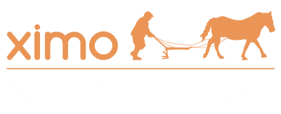 Ximo, horta ecològica